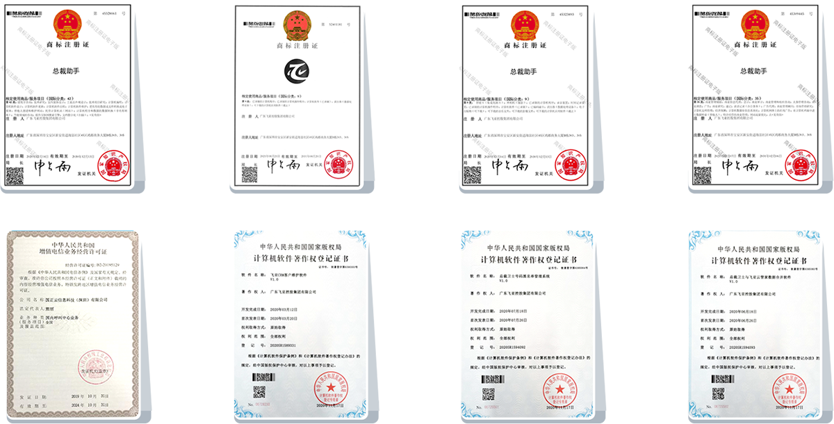 飞亚总裁助手